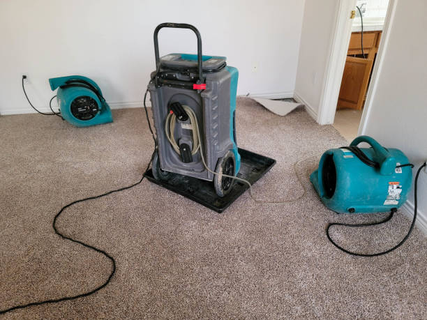 Best Flood restoration services  in Santa Fe Springs, CA