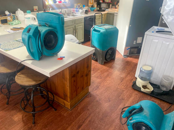 Best Water damage restoration near me  in Santa Fe Springs, CA