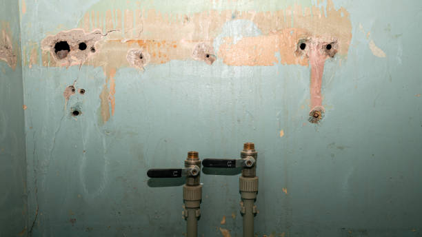 Best Ceiling water damage repair  in Santa Fe Springs, CA