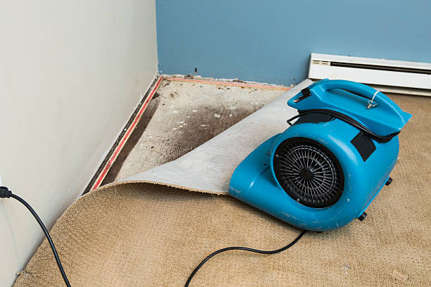 Best Water damage restoration cost  in Santa Fe Springs, CA